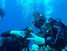 Tauchen im ältesten Naturschutzpark Italiens Portofino
  ‣Ideal für Tauchausbildung, vom Beginner bis Tec Diver hier ist alles möglich